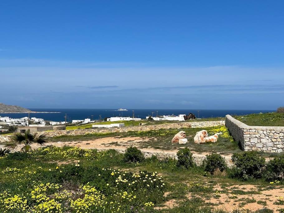 Aretousa Residence In Naoussa, Paros Zewnętrze zdjęcie