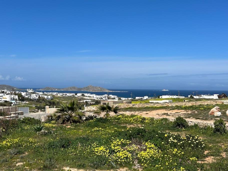 Aretousa Residence In Naoussa, Paros Zewnętrze zdjęcie